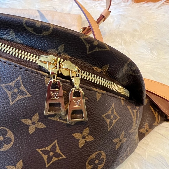 Louis Vuitton Monogram Bumbag - Picture 7 of 10
